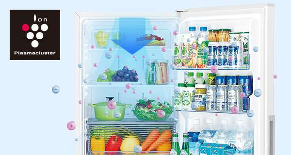 SJ-PD31J | 冷蔵庫：シャープ